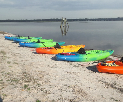 Kayak Tours - Kayak Rentals